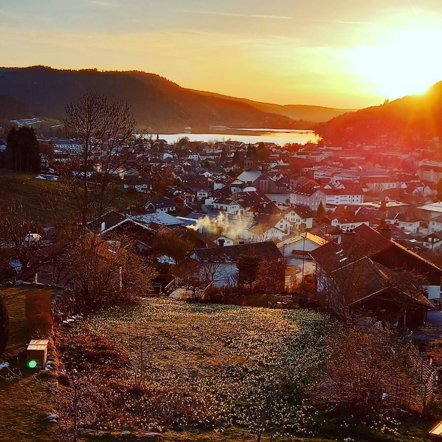 Aux Bonheurs Du * Gérardmer